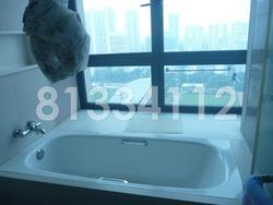 City Square Residences (D8), Condominium #88523952